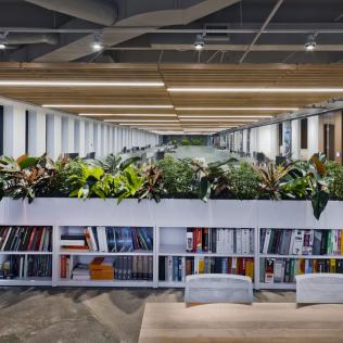 EDGE EX4 Direct | Pinnacle